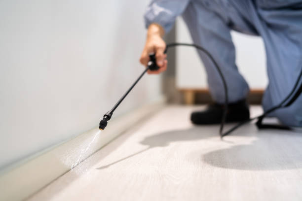 Rodent Entry Point Assessment in Irwindale