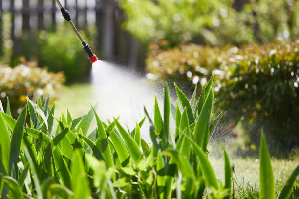 Tamper-Resistant Bait Stations for Rodents in Irwindale